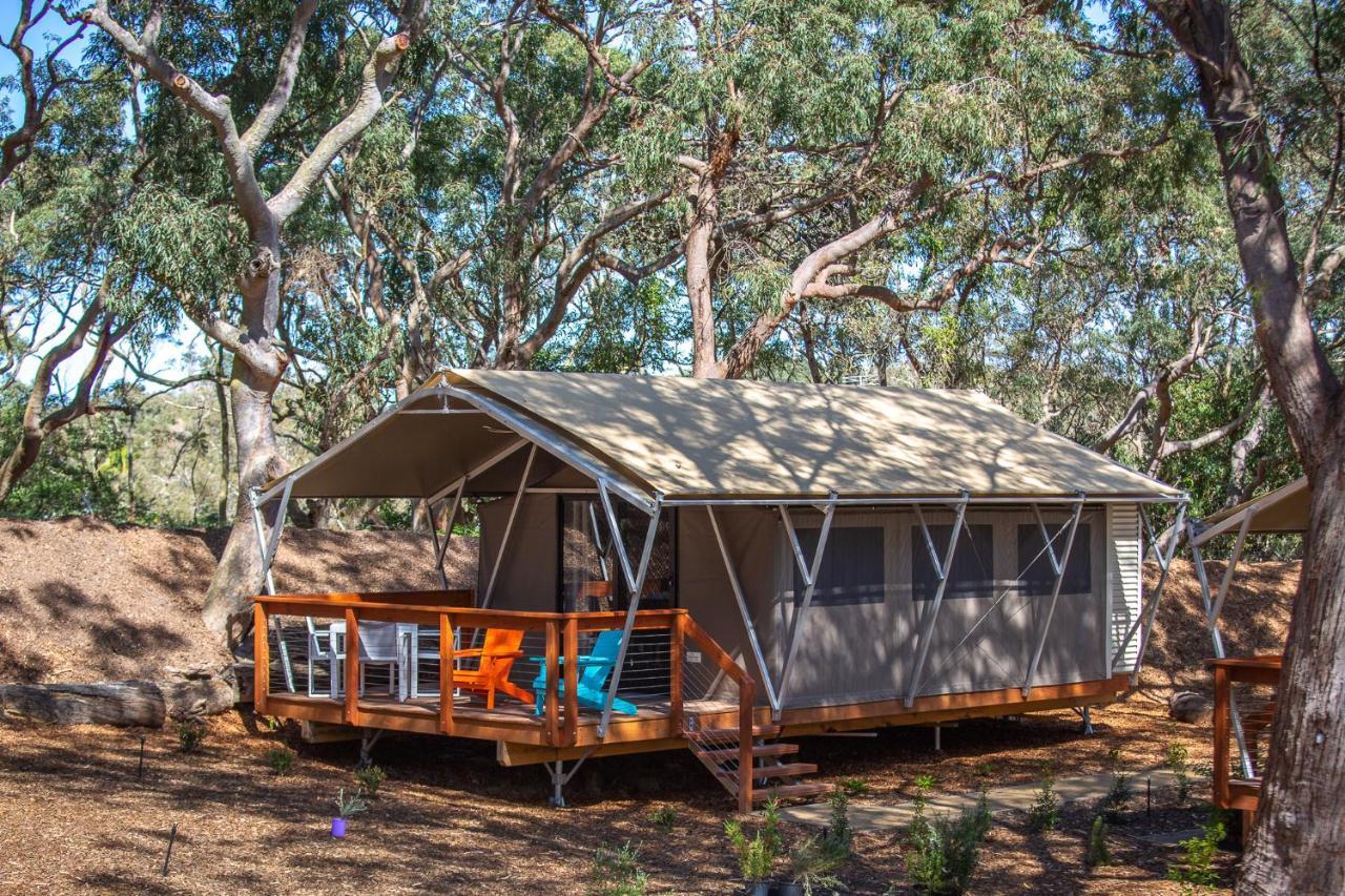 Port Stephens Koala Sanctuary Hotel One Mile Exterior foto