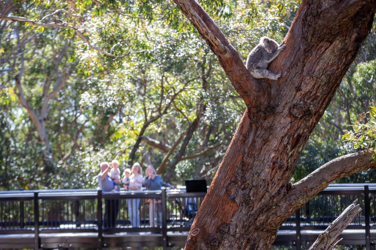 Port Stephens Koala Sanctuary Hotel One Mile Exterior foto