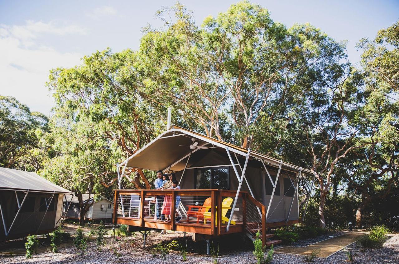 Port Stephens Koala Sanctuary Hotel One Mile Exterior foto